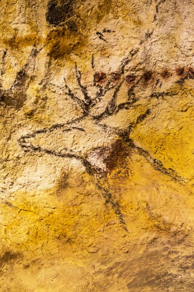Lascaux cave painting by Unknown